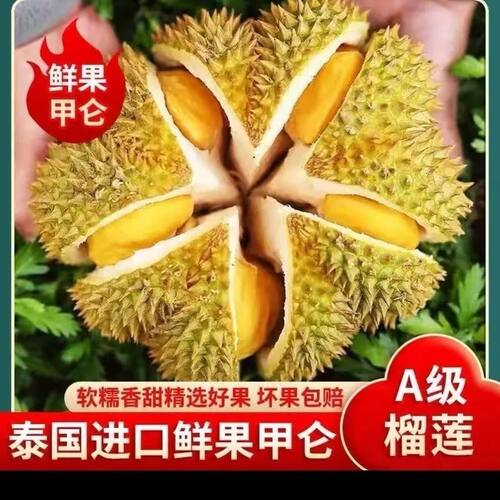 泰国甲仑榴莲带壳托曼尼金枕榴莲新鲜水果当季金枕榴莲鲜果A果