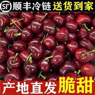 汉源车厘子大樱桃现摘国产车厘子当季甜新鲜孕妇水果黑珍珠车厘子
