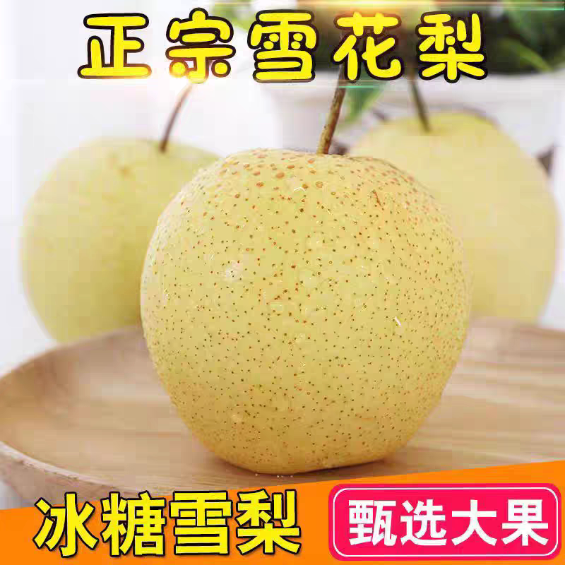 雪梨冰糖雪梨应季苹果梨青梨皮薄多汁青梨子水果新鲜无渣翠冠梨
