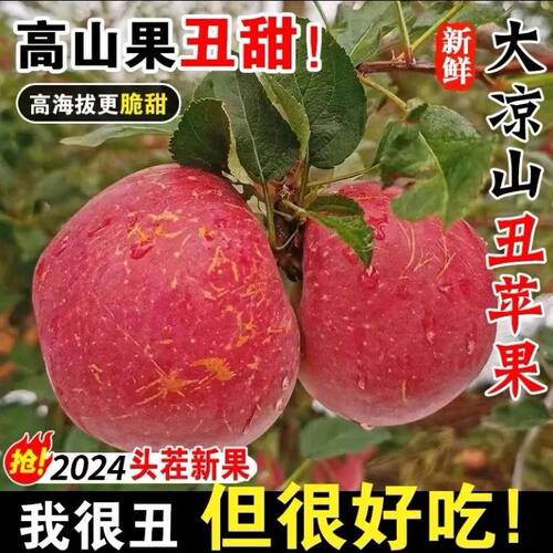 【现摘现发】正宗大凉山丑苹果冰糖心苹果当季新鲜水果富士苹果