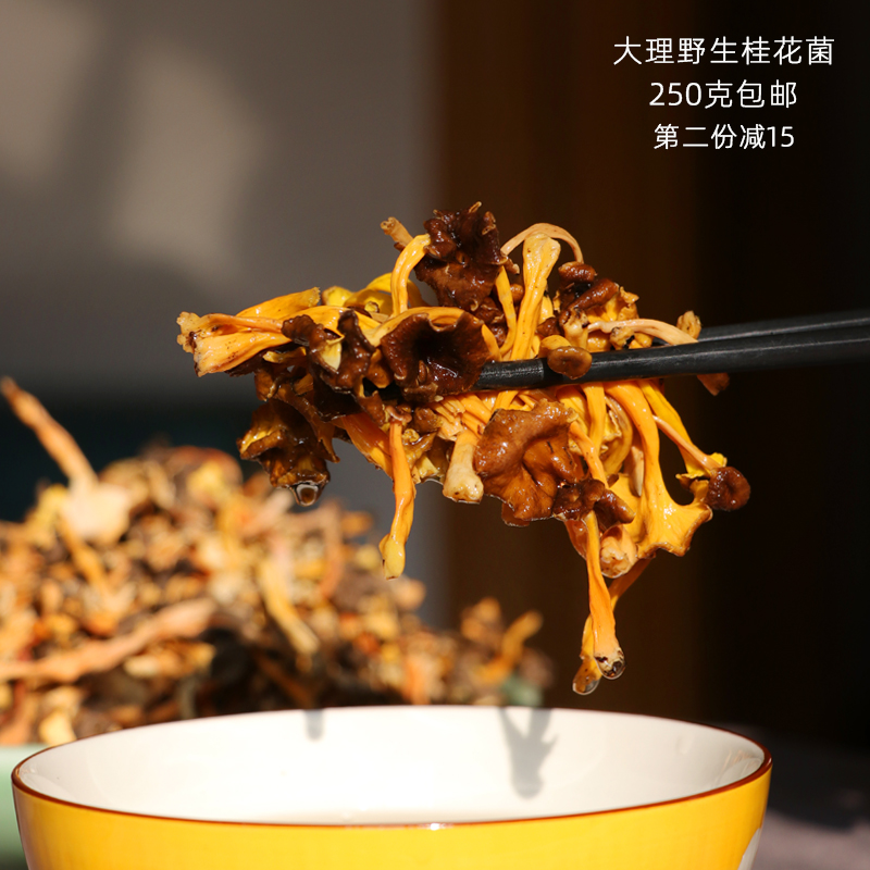 云南大理野生桂花菌黄丝菌新鲜野生菌火锅煲汤食用菌鸡油菌250克