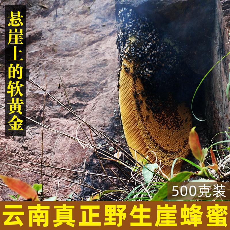 25年新货云南野生悬崖蜜深山百花蜜药蜜挂蜜血蜜成熟正宗岩蜜1斤