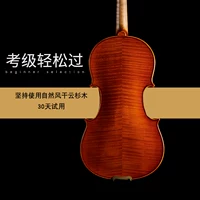 Người lớn Đài Loan 2019 mới làm bằng tay violin mô hình hổ chuyên nghiệp biểu diễn âm nhạc cổ điển chuyên nghiệp - Nhạc cụ phương Tây kèn sona