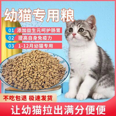 猫粮1个月以上幼主粮成猫