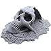 EnderToys Skull Cave， 3D Printed Tabletop RPG Scenery and