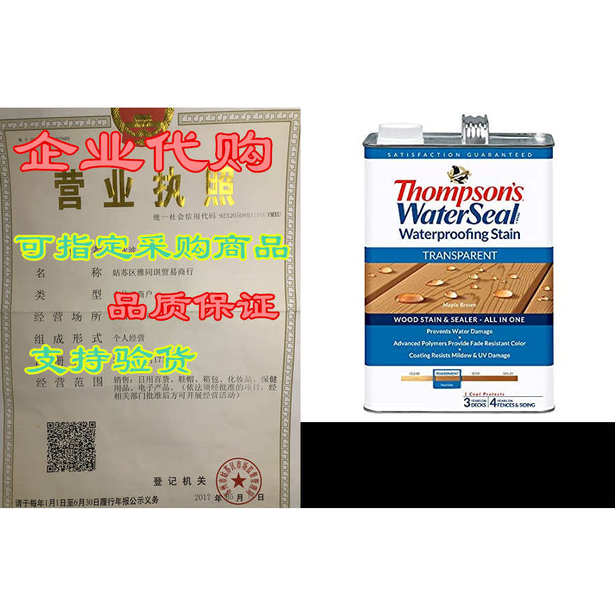 THOMPSONS WATERSEAL TH.041821-16 Transparent Waterproofin-封面