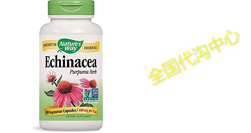 Nature's Way Echinacea Herb, 180 Capsules, 400 mg在类目 宠物/宠物食品及用品, 猫/狗日用品, 杯子中 - 来自Buy2taobao.com提供专业的淘宝代购服务