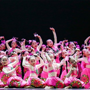 精选六一儿童小荷风n采麻花辫舞蹈服演出服山妞妞醋妞妞喜庆表演