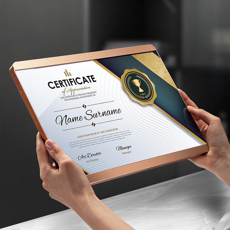 新品创意奖牌定制定做t压克力聘书商战略合作伙伴荣誉牌匾订制