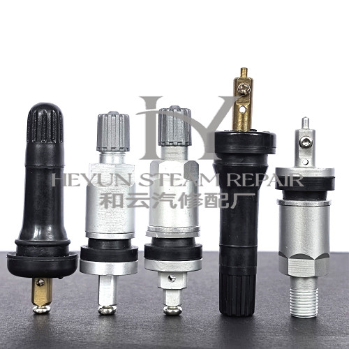 胎压监测传感器气门嘴发光发亮