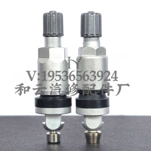 胎压监测传感器气门嘴发光发亮