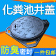 球墨铸铁化粪池圆形窨井盖下水道盖300小井盖家用走小车污水井