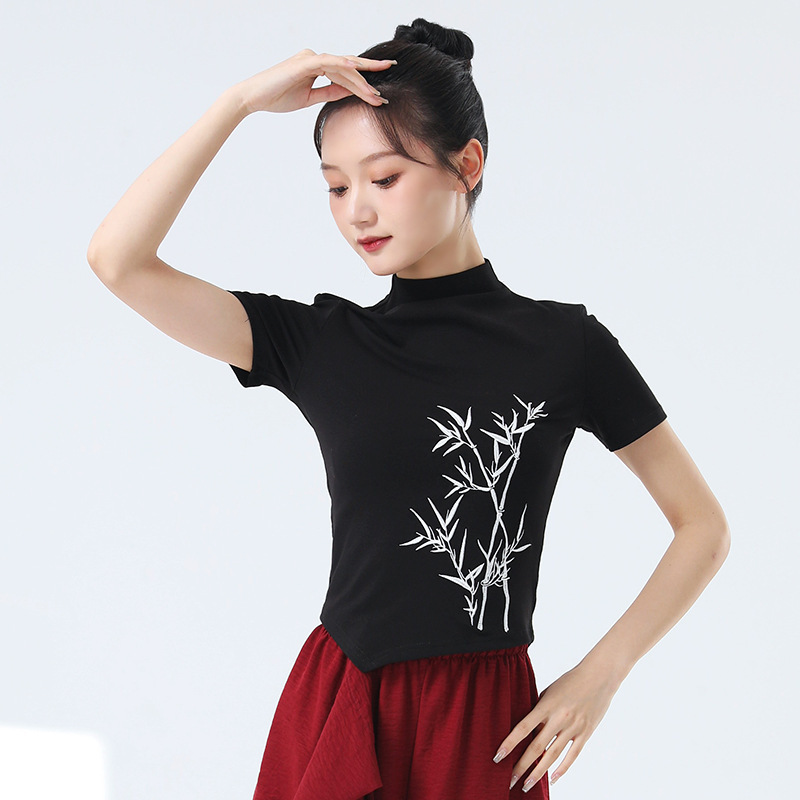 新中式国风复古刺绣现代舞练功服女半高领短袖舞蹈服古典舞训练