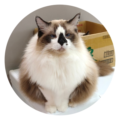 【猫不理周边】（猫-大布偶）杯垫 陶瓷杯垫 防滑隔热