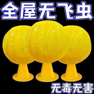 户外粘虫蠓虫 家用小飞虫克星室内果蝇诱捕器宿舍防蚊虫一扫光新款