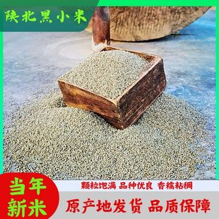 【老赵自食推荐】延安黑小米健康美味绿色安全500g真空包装