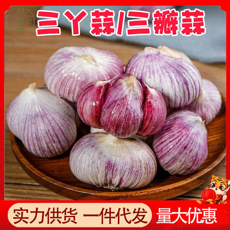 云南紫皮三瓣蒜10斤整箱现挖鲜蒜红皮大蒜头蔬菜3斤5斤三丫蒜干蒜