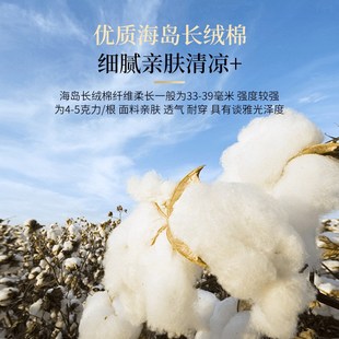 高端POLO衫 定制企业领导工作服定做刺绣印logo短袖 翻领T恤文化衫