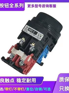 平头带灯按钮开关AR22FOL AR30  AR22F0L F5L  E3 E4 10 11 G