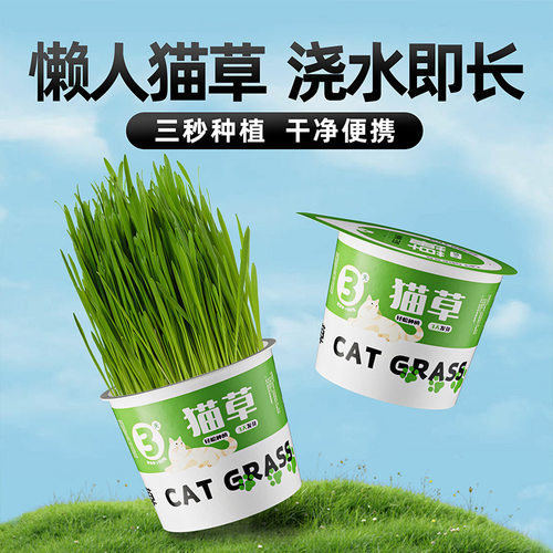 猫草盆无土水培猫草猫零食