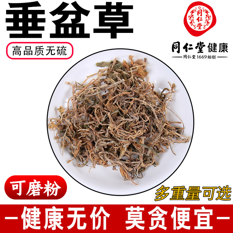 同仁堂垂盆草500克g干锤盆草中药材垂盆草茶野生垂盆草泡水可磨粉