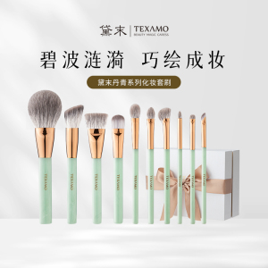 Texamo/黛末丹青10支化妆刷套装超柔软雪狐毛羊毛点彩细节刷全套