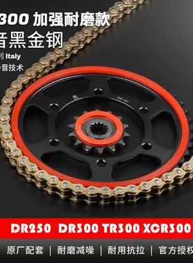 适用DR250XCR300TR300DR300大小牙盘静音链轮征和UX油封链条