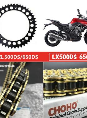 适用隆鑫无极525AC无极500DSLX650DS大小飞静音链轮油封链条