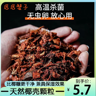 粗椰壳爬宠寄居蟹专用乌龟垫料椰糠苔藓冬眠用品爬虫保湿 保温椰土