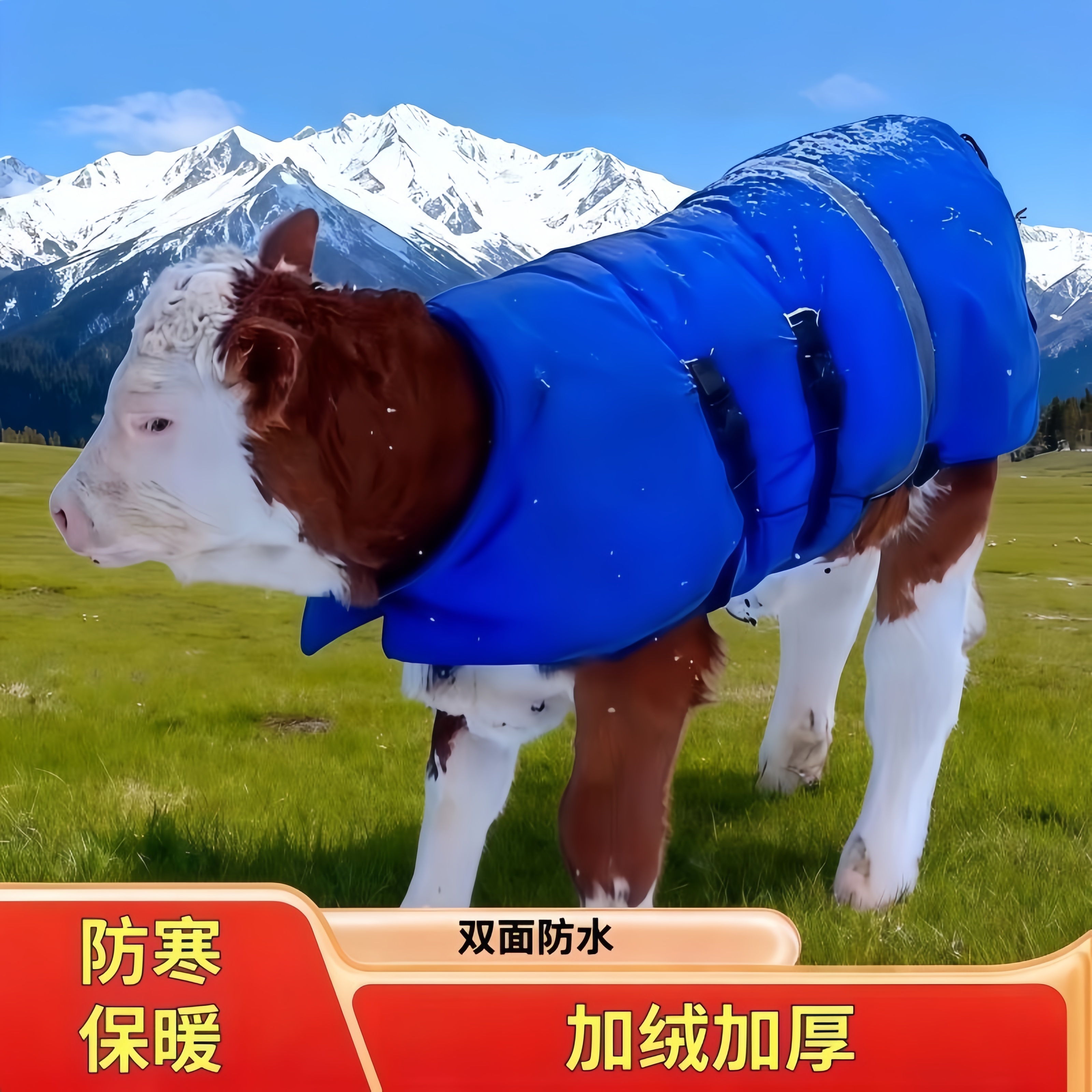 加厚犊牛保暖防水加大小牛防寒服