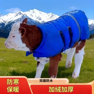 升级款加厚犊牛保暖新生犊牛马甲小牛衣服防寒防水加大小牛防寒服