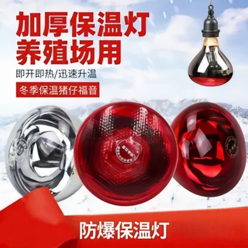 小鸡育雏加热烤灯仔猪舍兽用