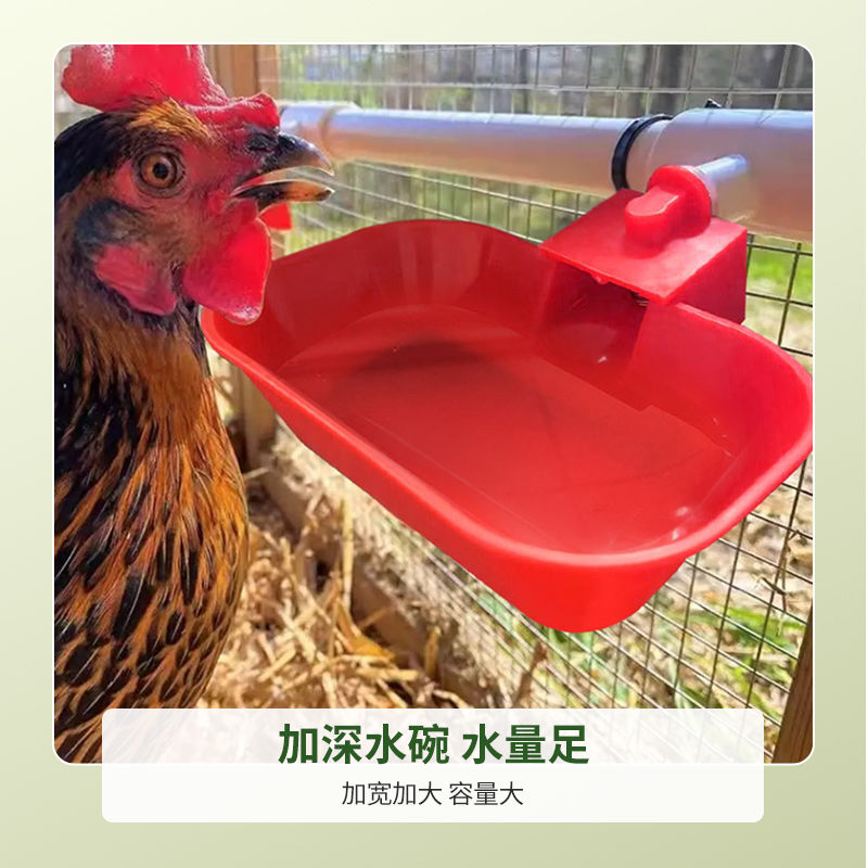 鸡鸭鹅自动饮水碗喂水器