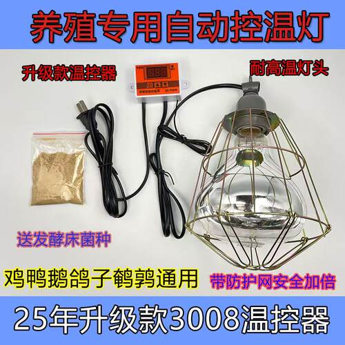 雏鸟宠物保温箱幼苗保温箱