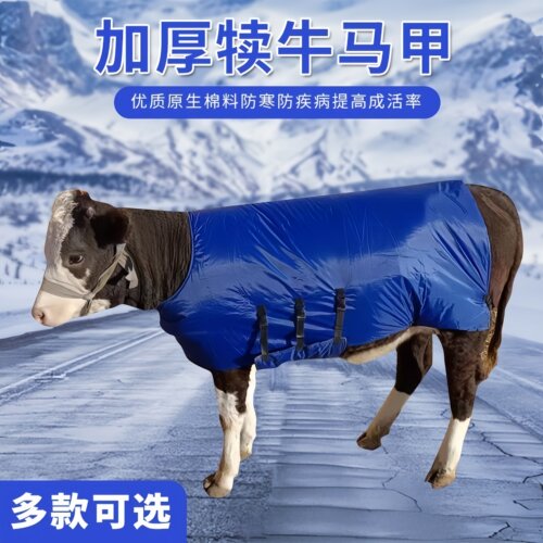 小牛外套加厚防寒牛犊马甲牛犊子