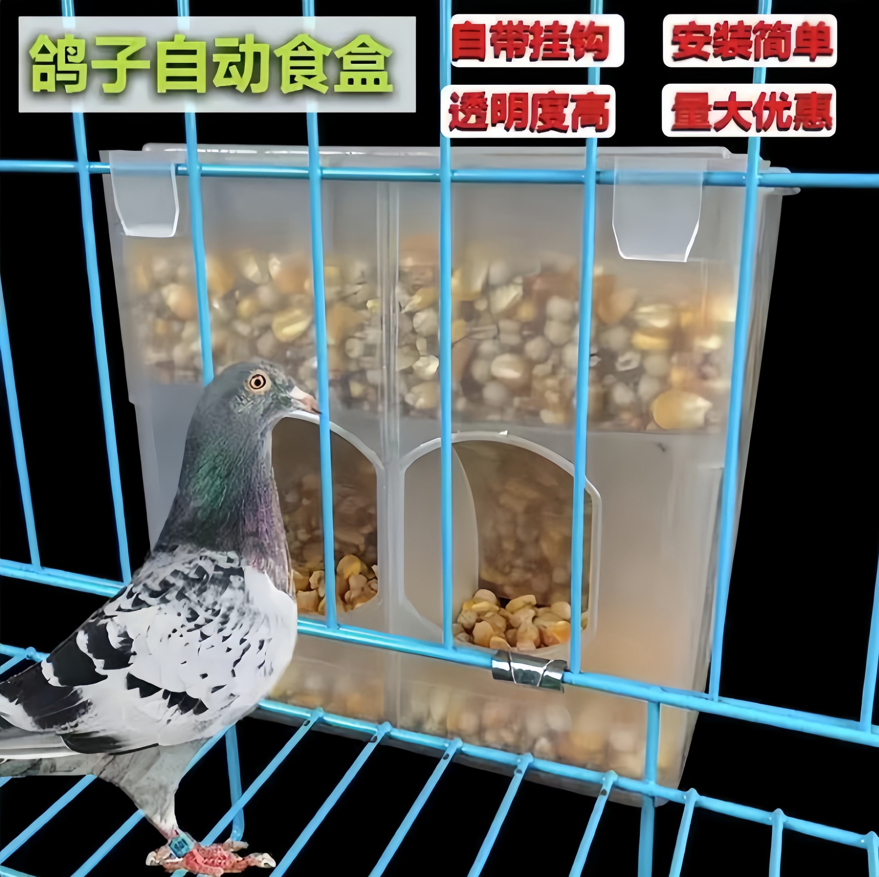 鸽子自动食槽喂食下料器防撒食盒饮水器信鸽用品用具肉鸽防撒食槽