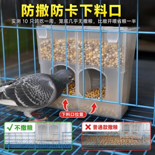 鸽子自动食槽喂食下料器防撒食盒饮水器信鸽用品用具肉鸽防撒食槽