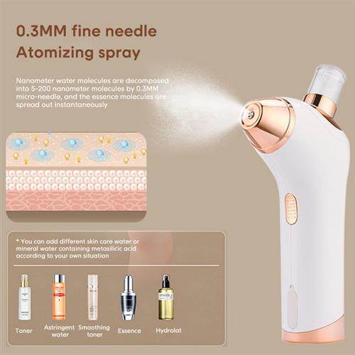 跨境新款注氧仪便捷式手持补水仪脸部补水喷雾保湿精华导入美容仪