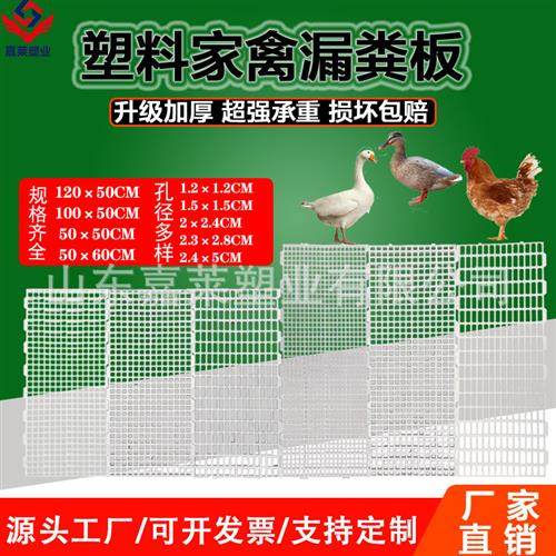 养殖漏粪板 家禽鸡鸭鹅用漏粪板 育雏育肥成鸡种鸭用漏粪地板,畜牧/养殖物资,畜牧/养殖器械,淘宝优惠券,粉丝福利购,淘宝优惠卷