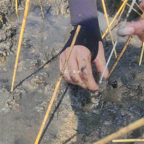 钓虾笔泸沽虾毛笔 抓虾笔 纯羊毛 手工做 结实耐用赶海工具