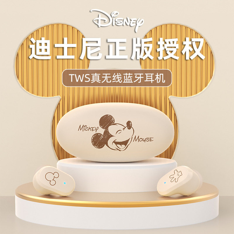 Disney/迪士尼DN02蓝牙耳机无线运动入耳式降噪高颜值迷你女生款属于什么档次？