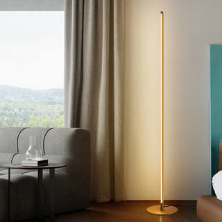 梵双落地灯ins极简北欧LED客厅卧室立式床头灯具创意氛围地灯金色