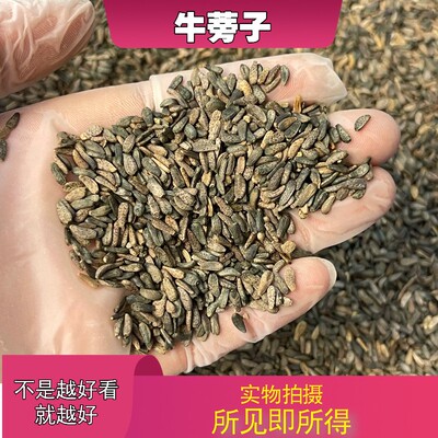 牛旁子50克中药材店铺中草药