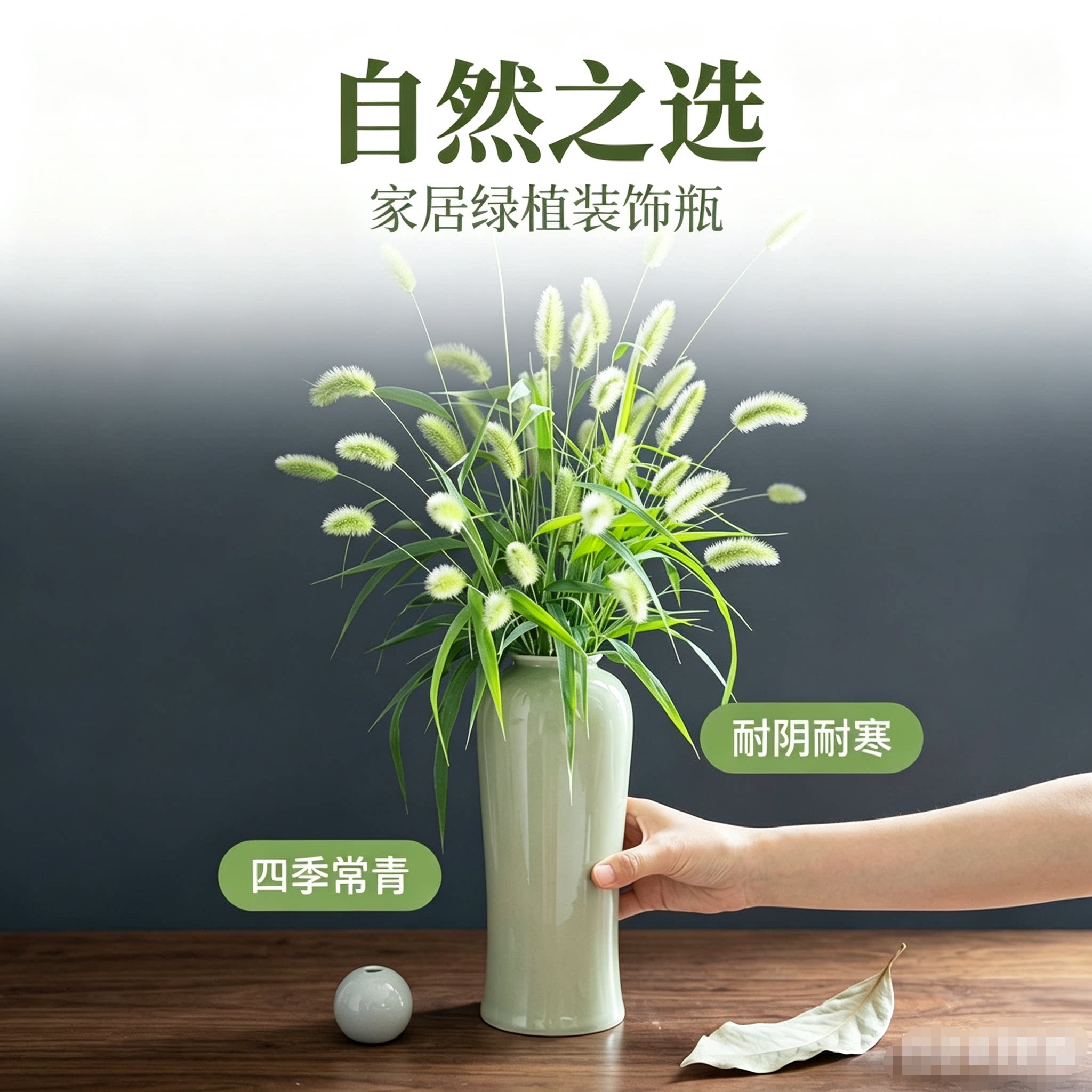 招财狗尾草植物室内净化空气客厅插花装饰花束绿植花卉盆栽绿植