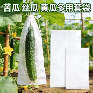 无纺布透气防鸟防虫果蔬专用袋