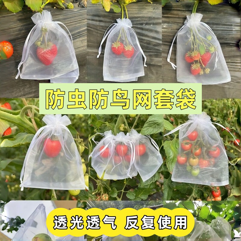无花果套袋防虫防鸟神器水果保护袋果蔬袋葡萄桃子梨子专用纱网袋