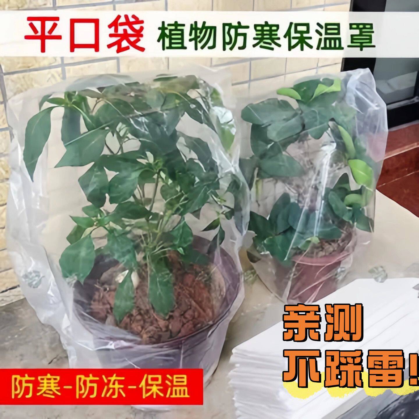 防寒防冻保暖植物盆栽套袋保温保护透明绿植树木加厚保护罩保湿袋