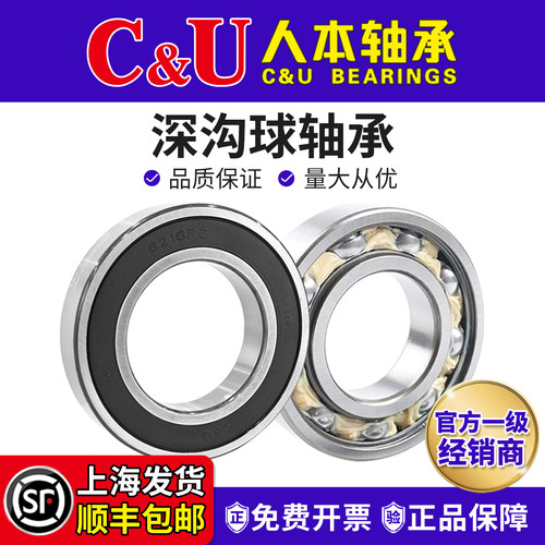 人本轴承6216TD高端6217高速6218 6219 6220 6221 6222 6224 2RZ