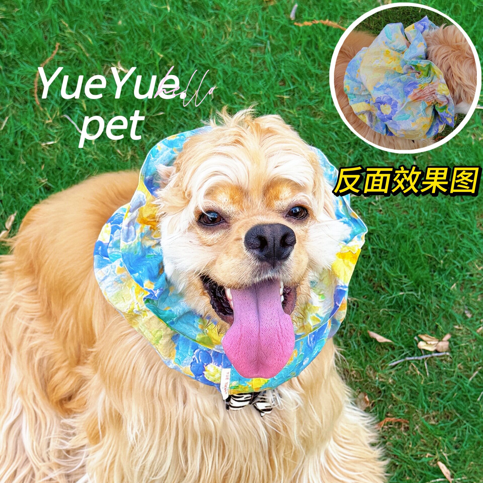 大耳朵狗狗美卡可卡布英卡查理王腊肠发饰宠物耳套吃饭防脏耳套图片