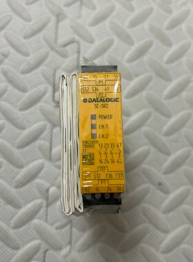 德国安全继电器SE-SR2 24VDC 3n/o1n/c 9